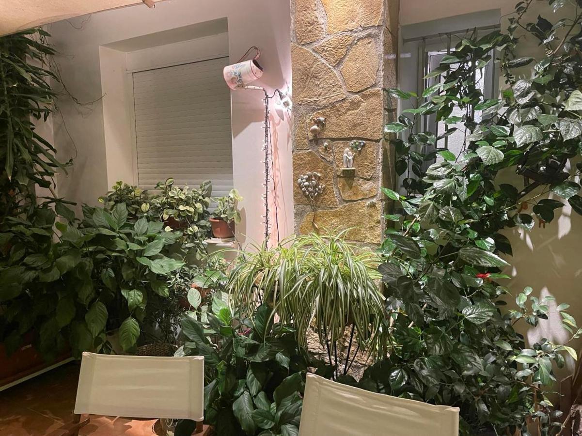 Eleonora's Hidden Gem Appartement