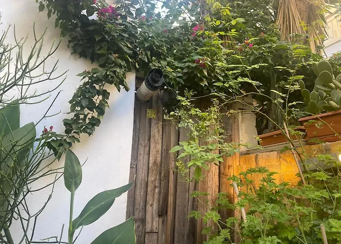 Eleonora\'S Hidden Gem