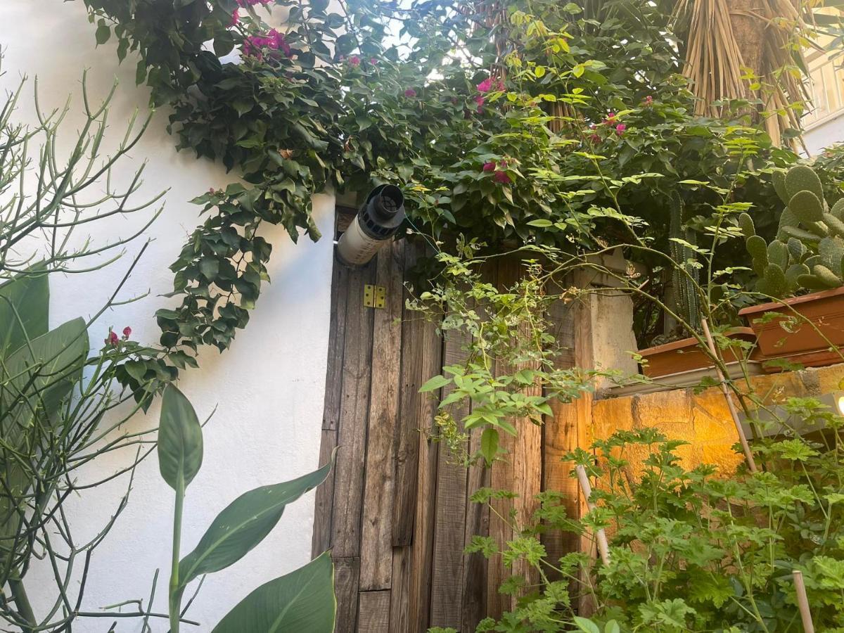 Eleonora's Hidden Gem *
